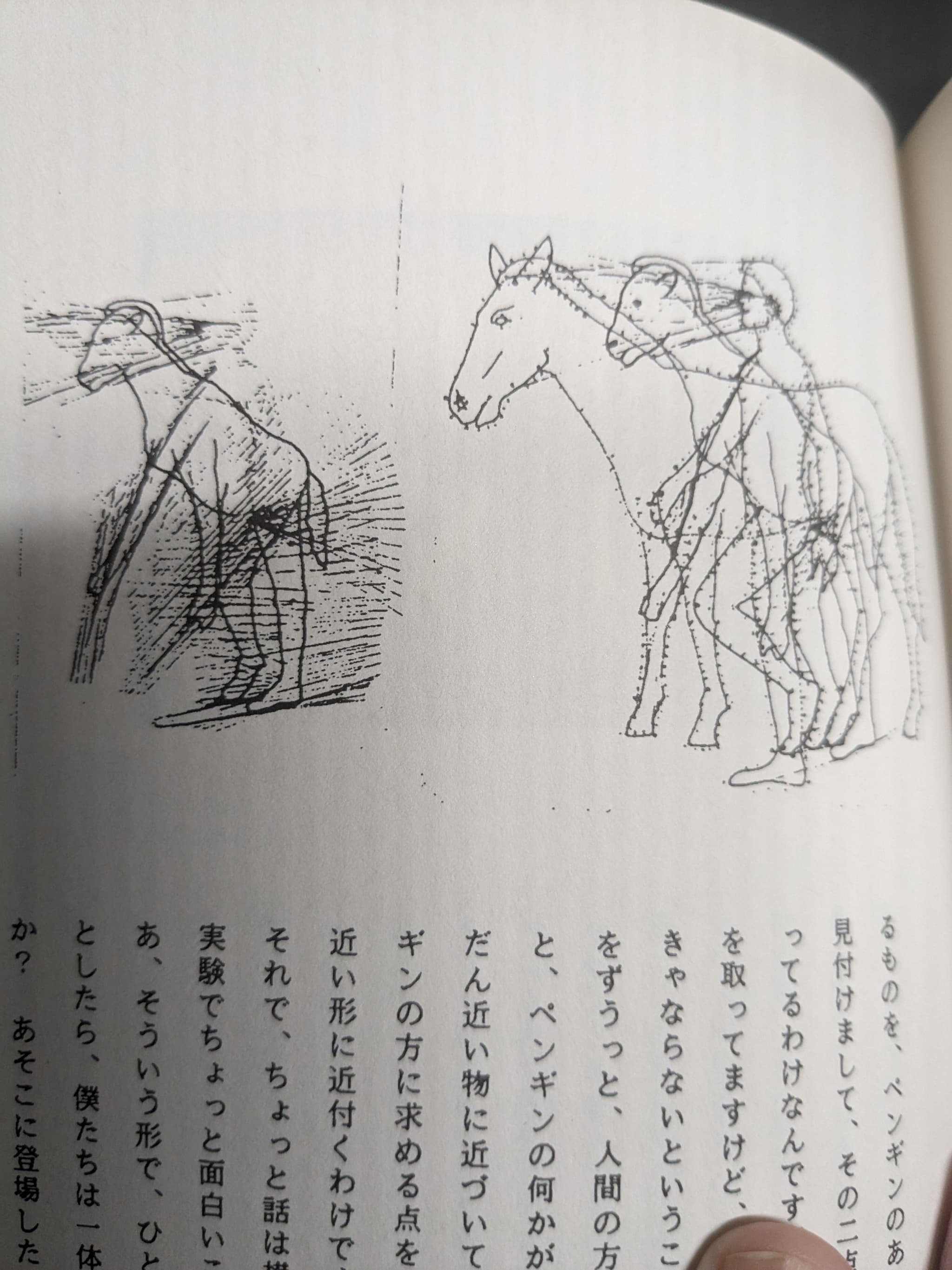 馬と人間の線図を重ね、それぞれの図の各頂点を結び、中間地点をつないでいる。